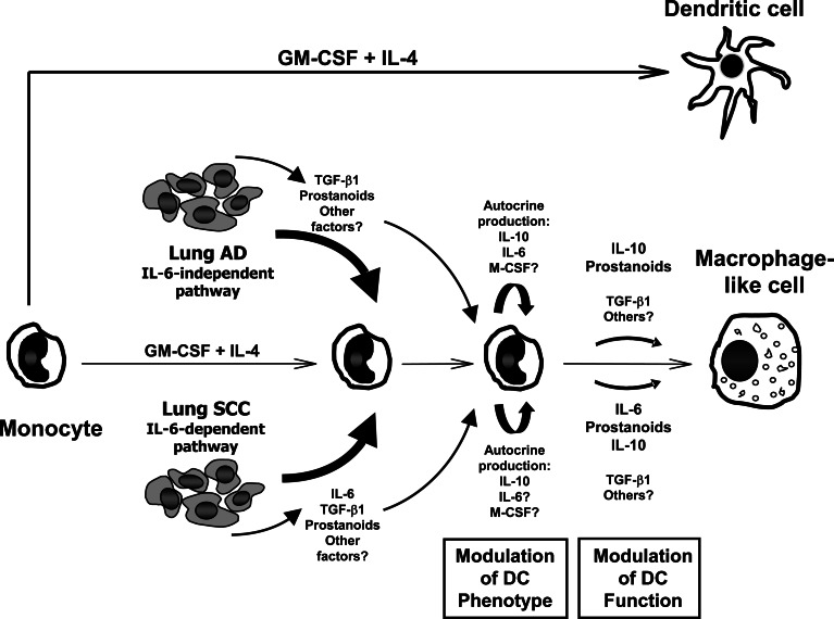 Fig. 8