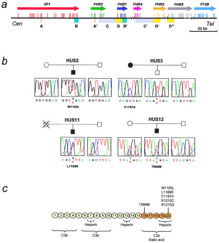 Figure  1