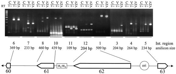 FIG. 5.