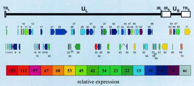 FIG. 3.