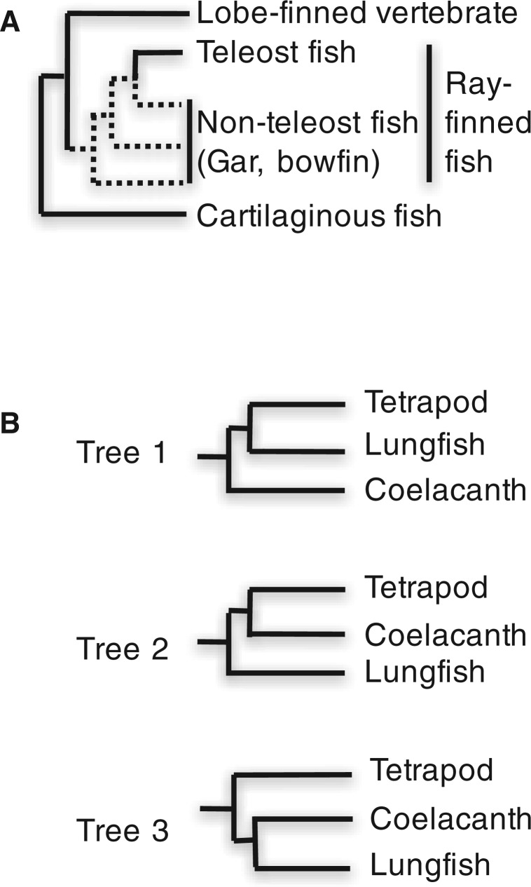 Fig. 1.—