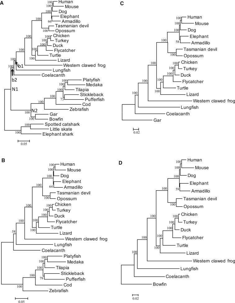 Fig. 3.—