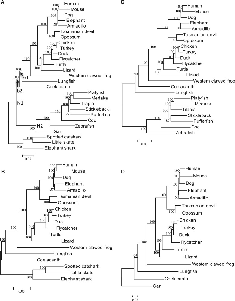 Fig. 2.—