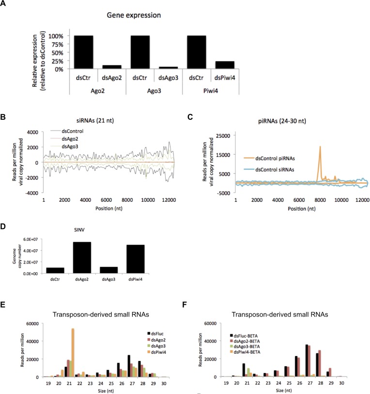 Figure 2—figure supplement 1.