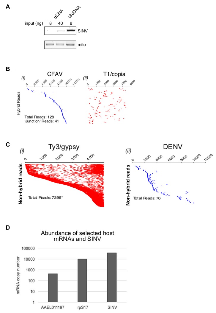 Figure 5—figure supplement 1.