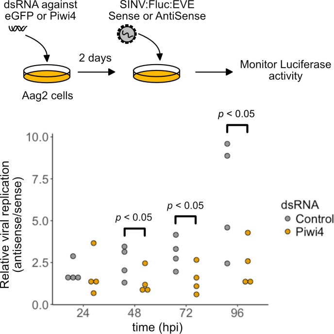 Figure 7—figure supplement 2.