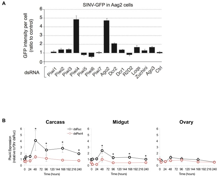 Figure 1—figure supplement 1.