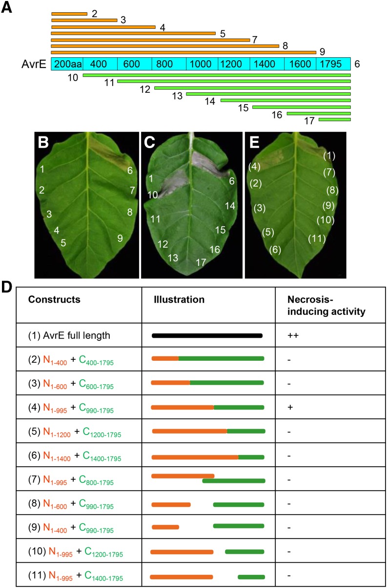 Figure 3.