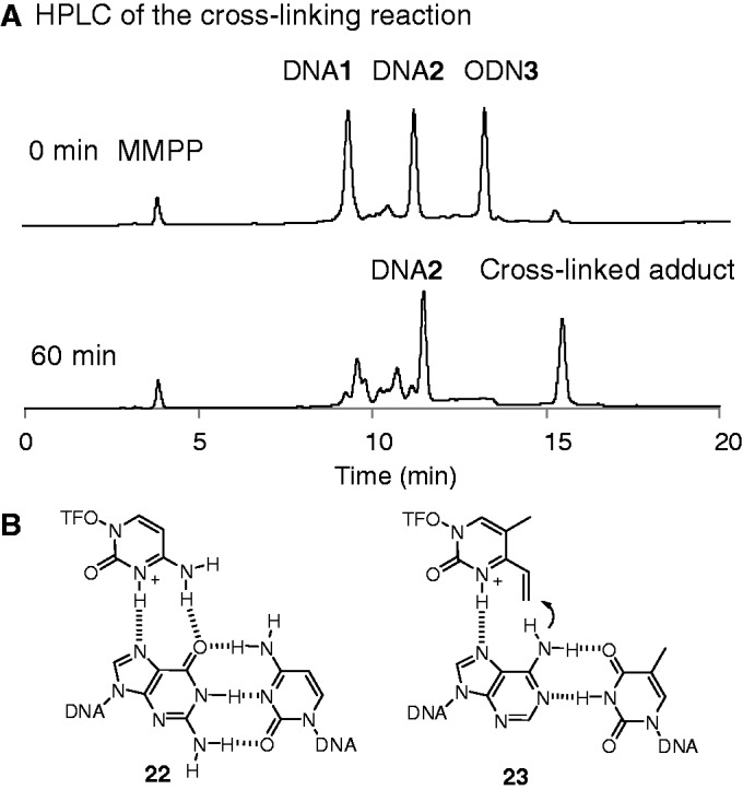 Figure 9.