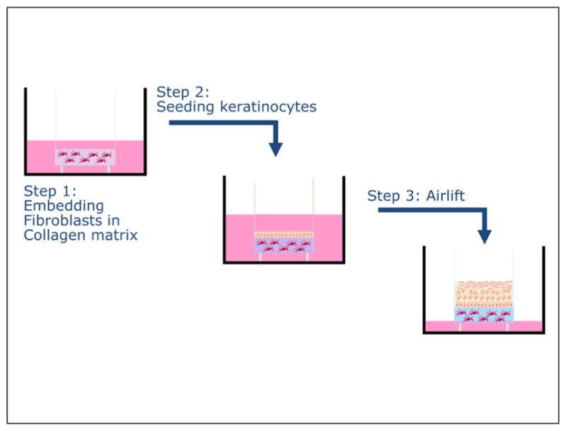 Fig. 8