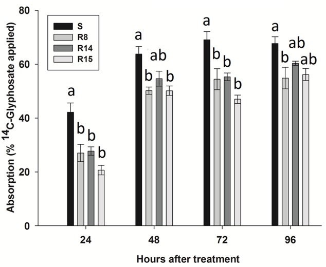 FIGURE 3