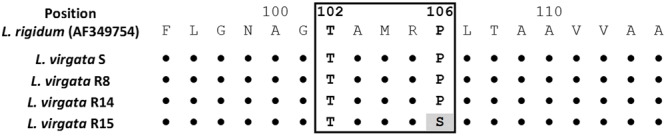 FIGURE 6