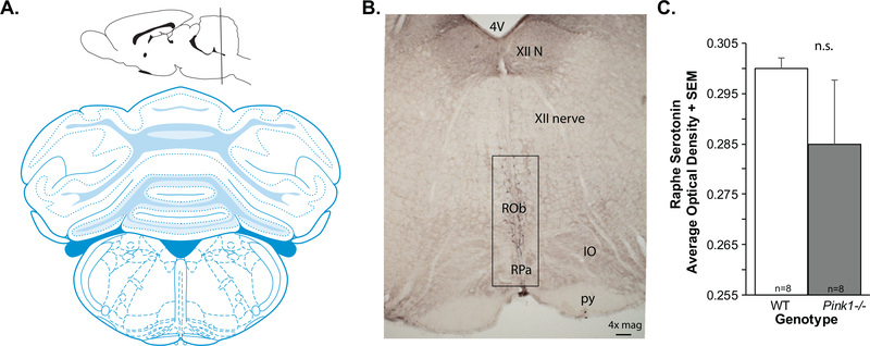 Fig. 2.