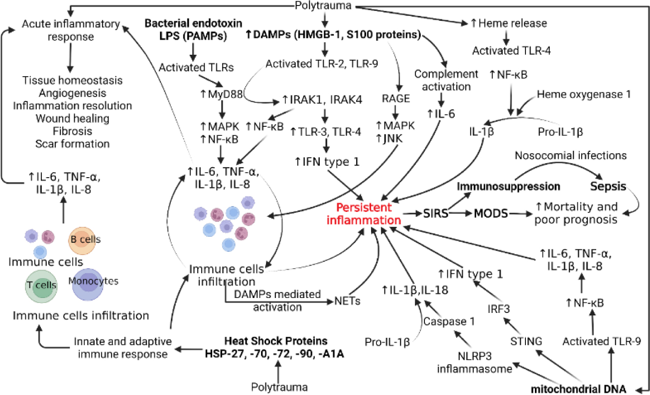 Figure 1: