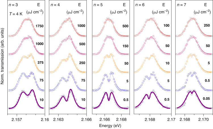 Fig. 2