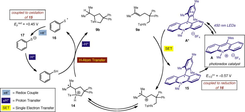 Scheme 1