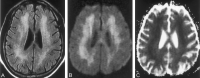 F<sc>ig</sc> 3.