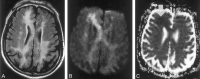F<sc>ig</sc> 2.