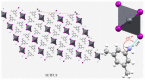 Figure 24