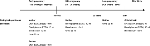 Fig. 1