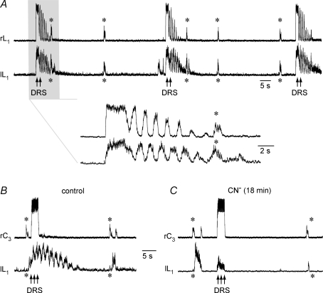 Figure 11