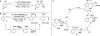 Scheme 2