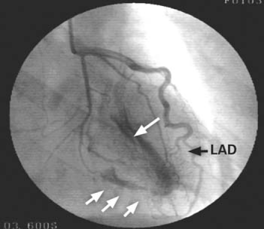 graphic file with name 24FF1.jpg