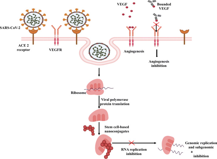 Graphical abstract