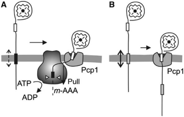 Figure 8