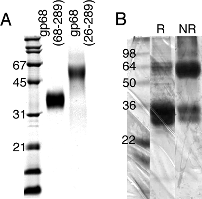 FIG. 4.