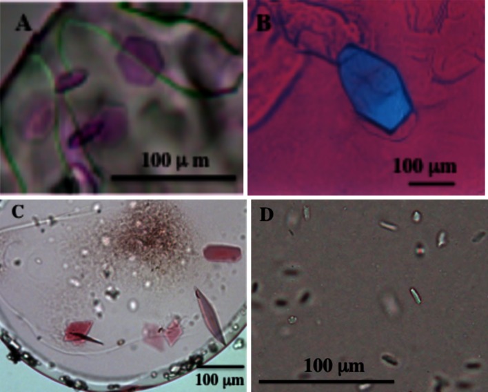 Fig. 7