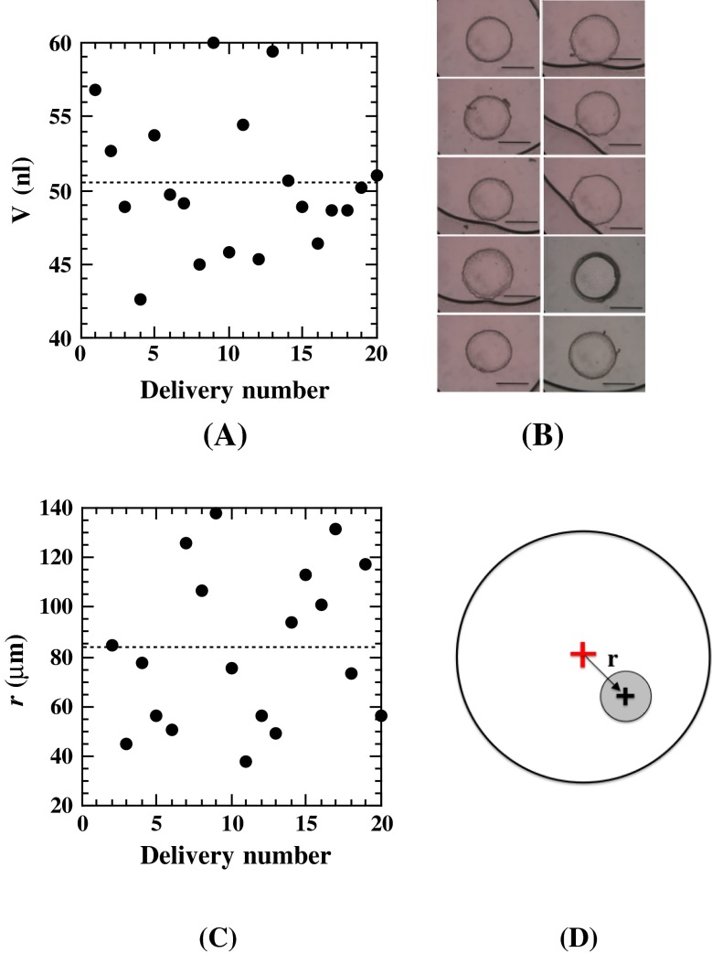 Fig. 6