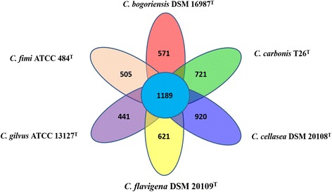 Fig. 4