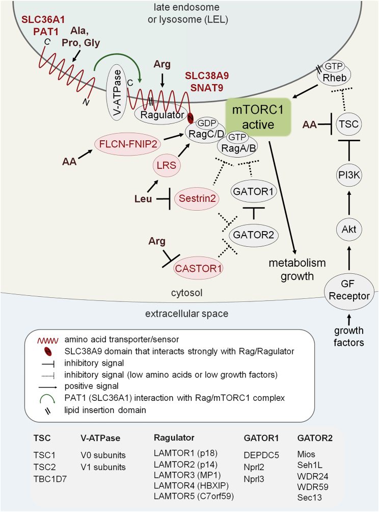 Figure 2