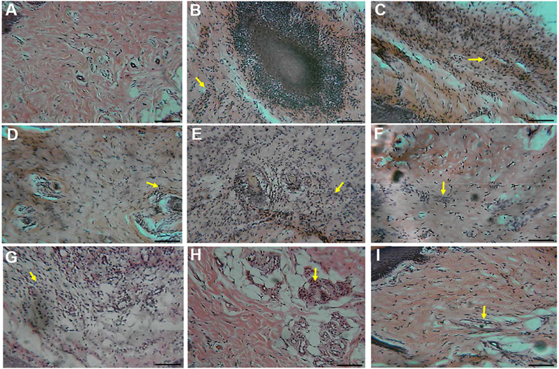 Figure 5: