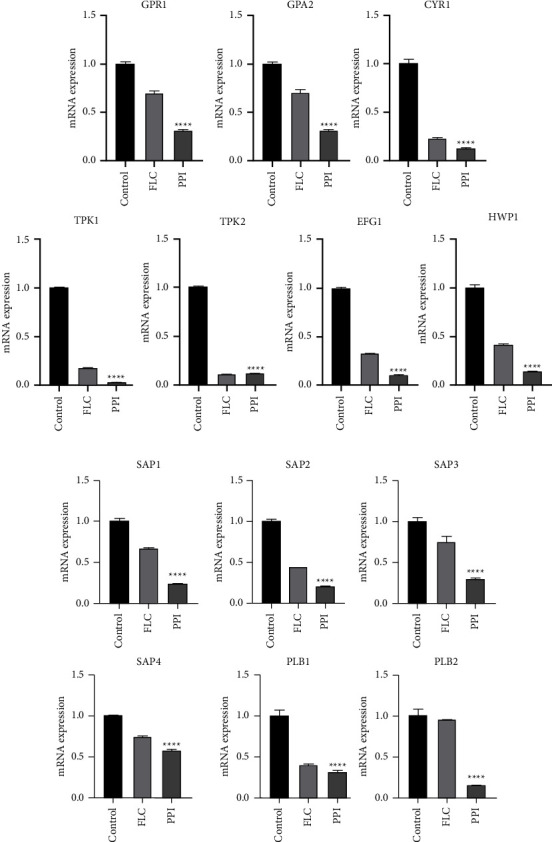 Figure 6