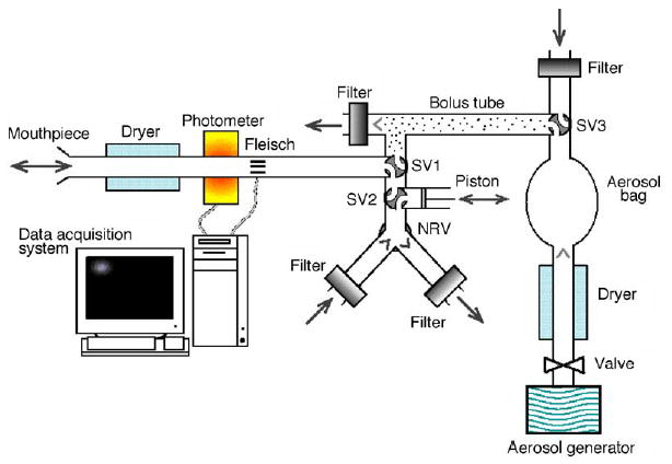 Fig. 1