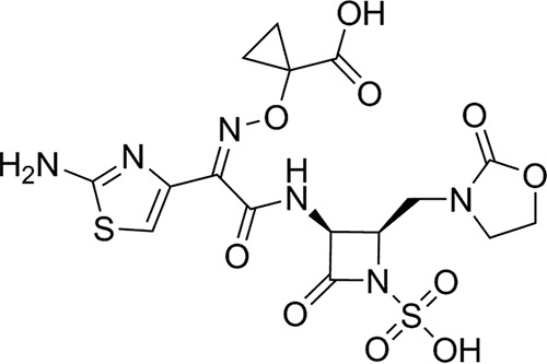 FIG 1