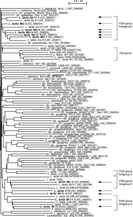 FIG. 4.