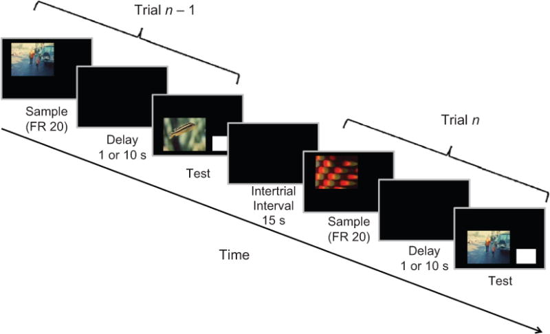 Fig. 1