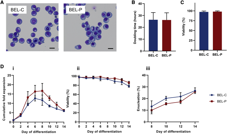 Figure 3