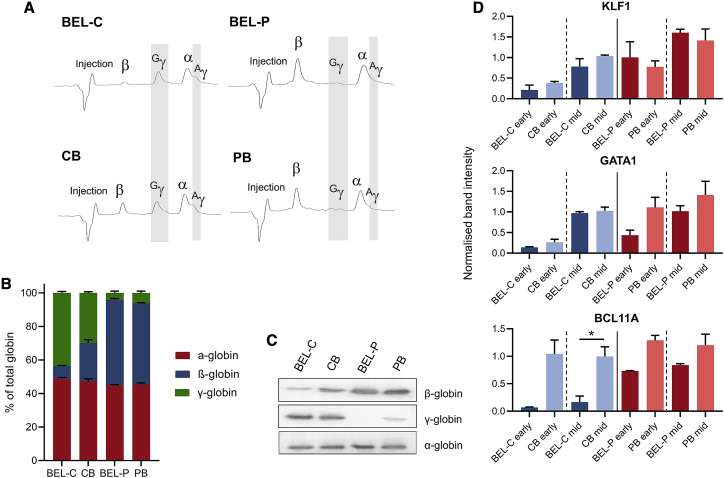 Figure 5