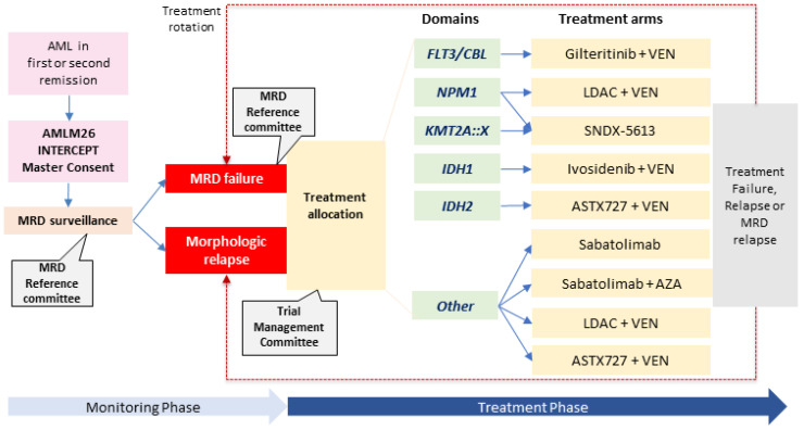 Targeting Measurable Residual Disease (MRD) in Acute Myeloid Leukemia ...