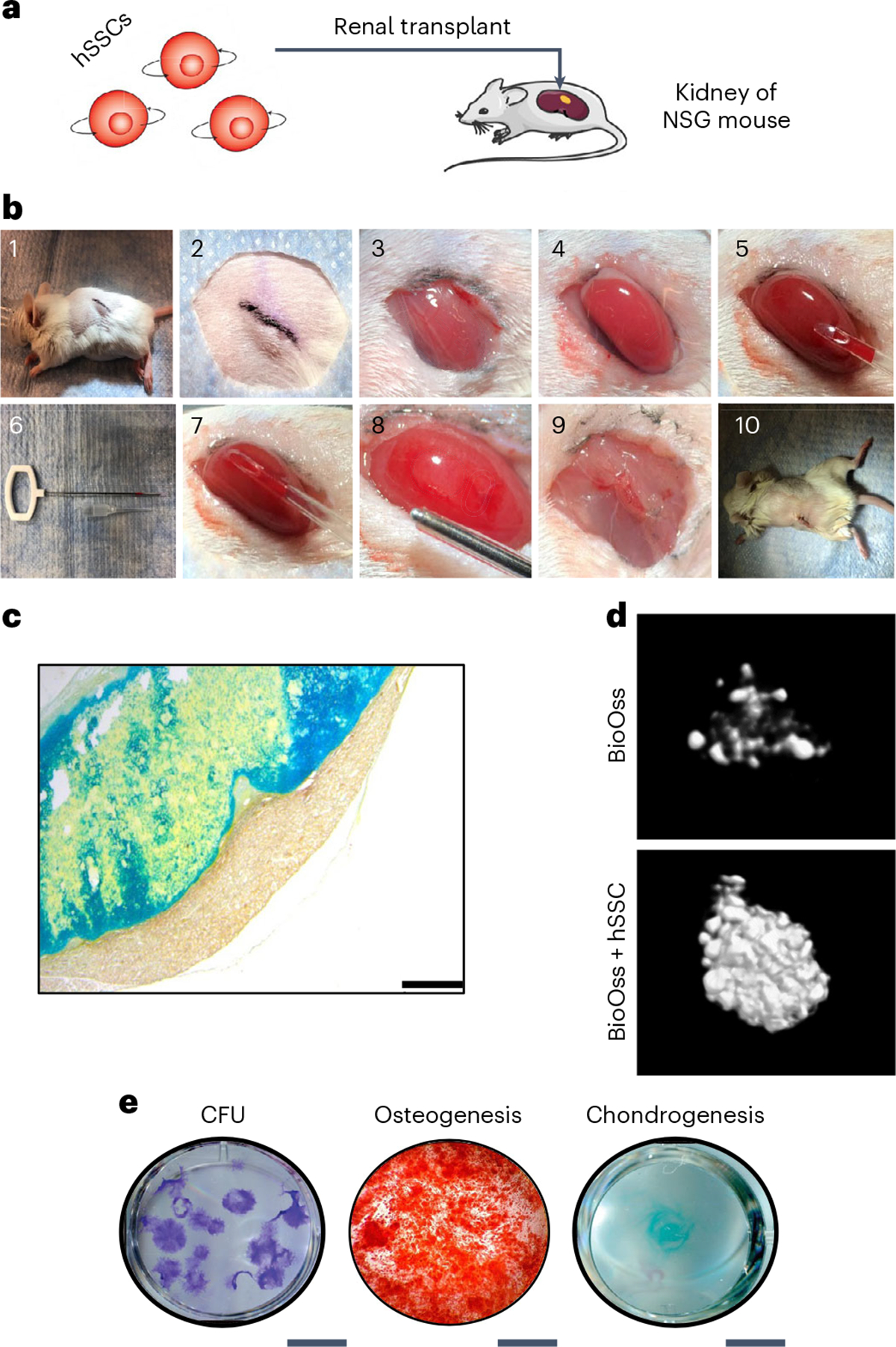 Fig. 4 |