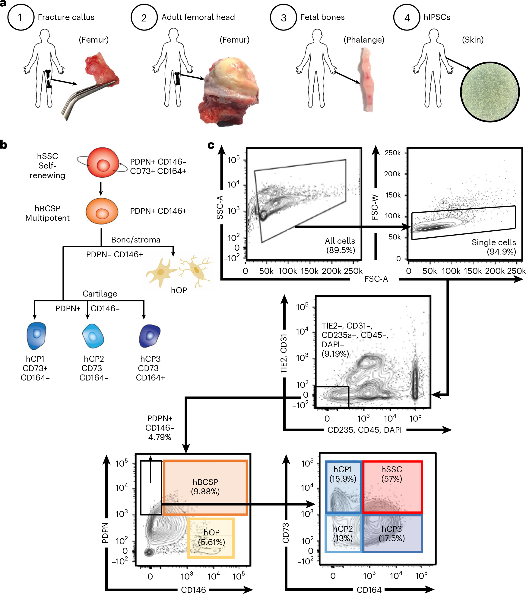 Fig. 2 |