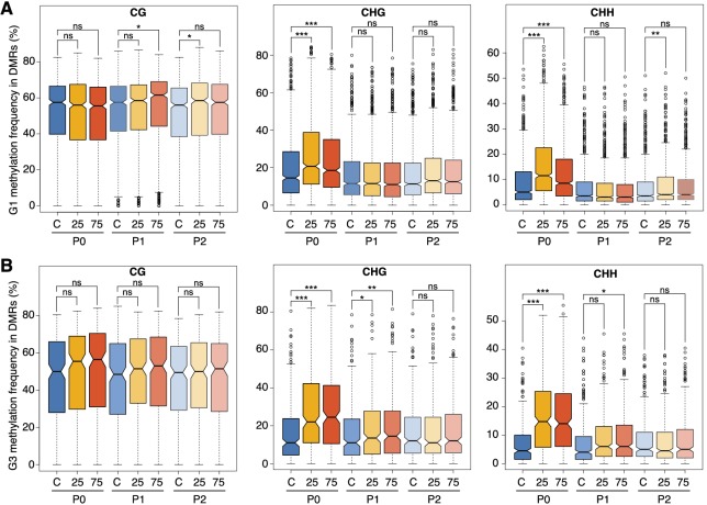 Figure 2—figure supplement 3.