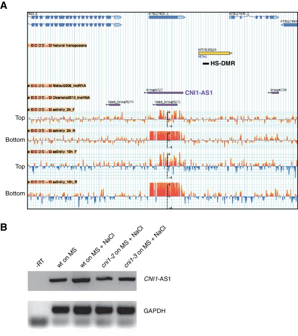 Figure 6—figure supplement 3.