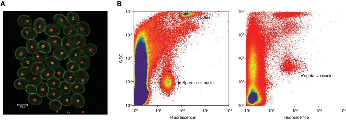 Figure 4—figure supplement 1.