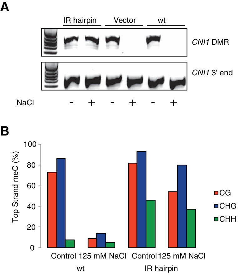 Figure 6—figure supplement 2.