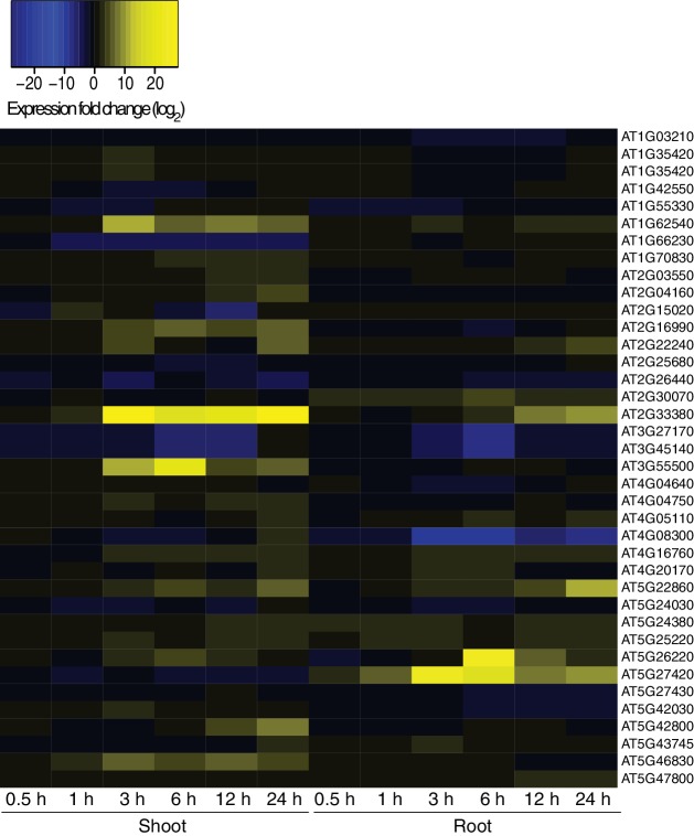 Figure 5—figure supplement 1.